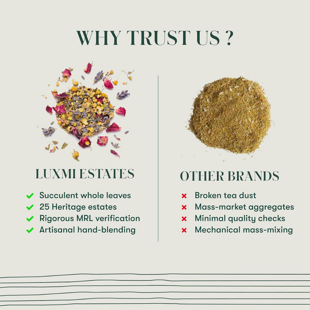 Luxmi Estates Valerian Dream – Organic Sleep Tea Luxmi Estates