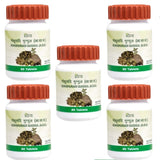 Patanjali Divya Gokshuradi Guggul - safuroncart