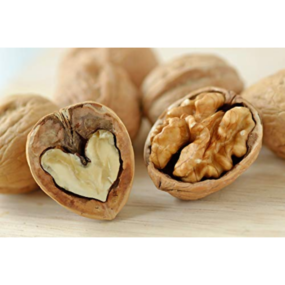 Go Chile Inshell Walnut - Jambo Size Go