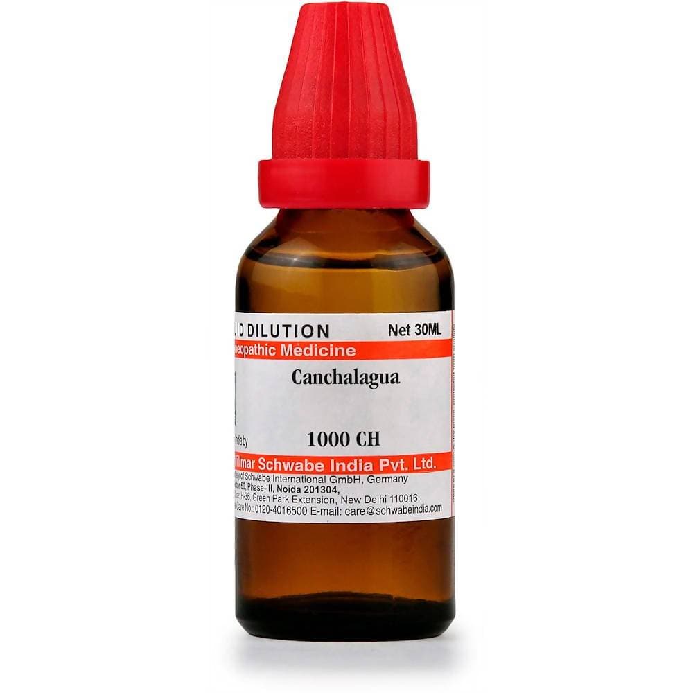Dr. Willmar Schwabe India Canchalagua Dilution