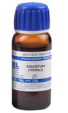SBL Homeopathy Equisetum Hyemale Mother Tincture Q