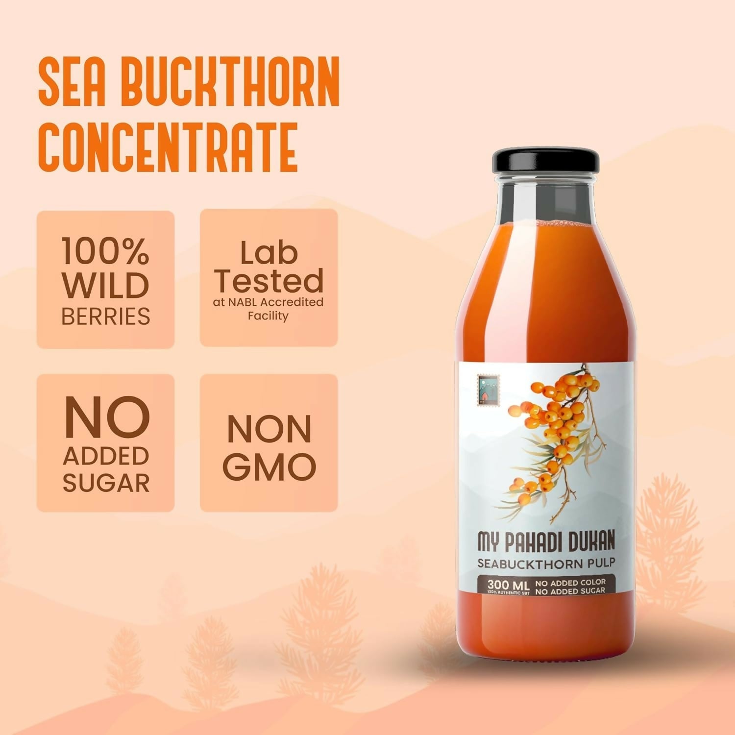My Pahadi Dukan Himalayan Sea Buckthorn Pulp My Pahadi Dukan