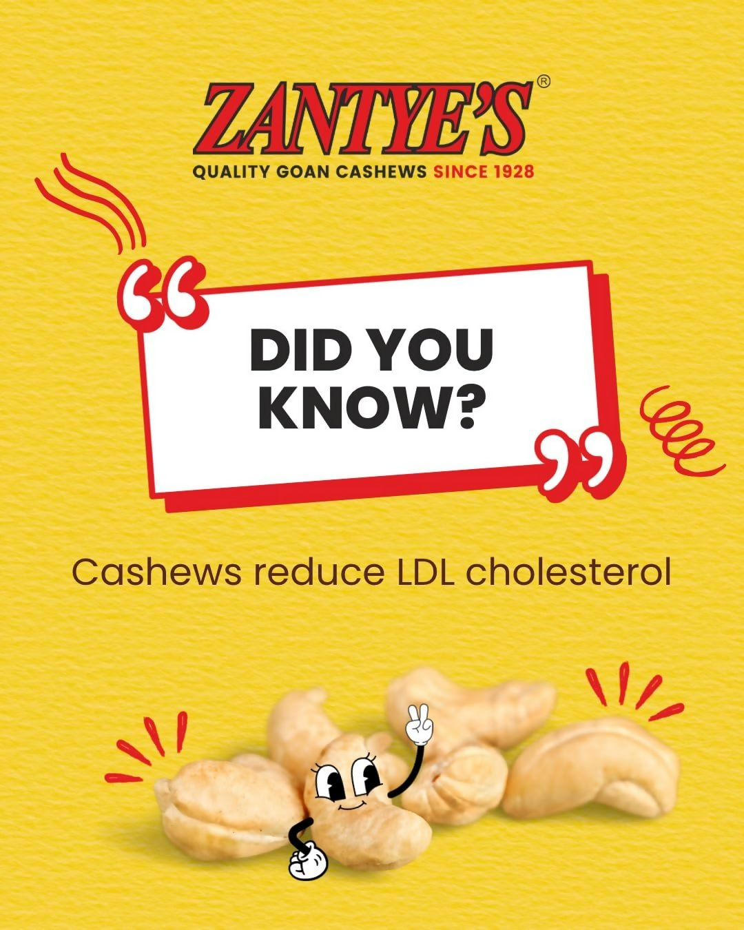 Zantye's Goan Cashew W320 Premium Kaju Zantye's