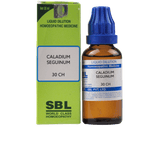 SBL Homeopathy Caladium Seguinum Dilution