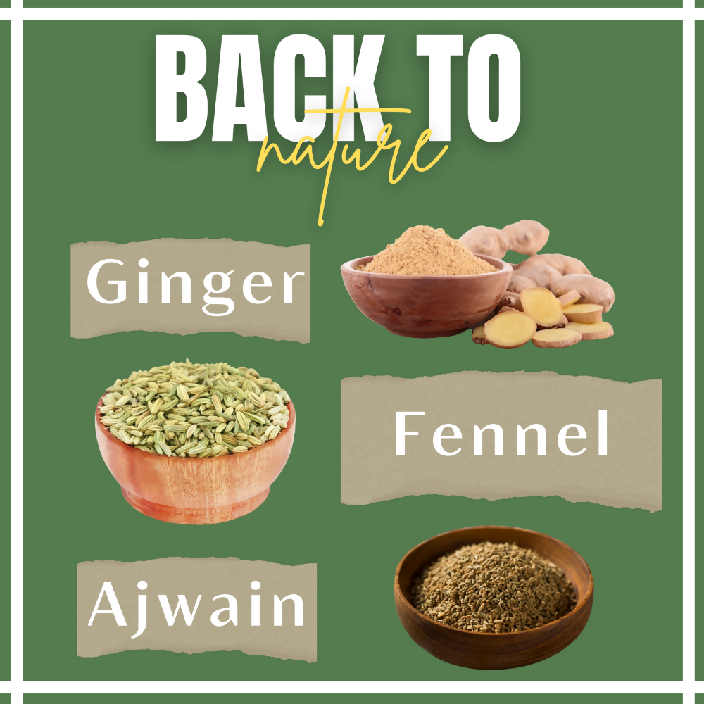 Satvi Wellness Fennel Ginger Ajwain Tea | Fennel Tea | Ginger Tea | Ajwain Tea | Herbal Tea Satvi Wellness