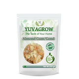 Yuvagrow Almond Gum (Badam Gond) - Safuron
