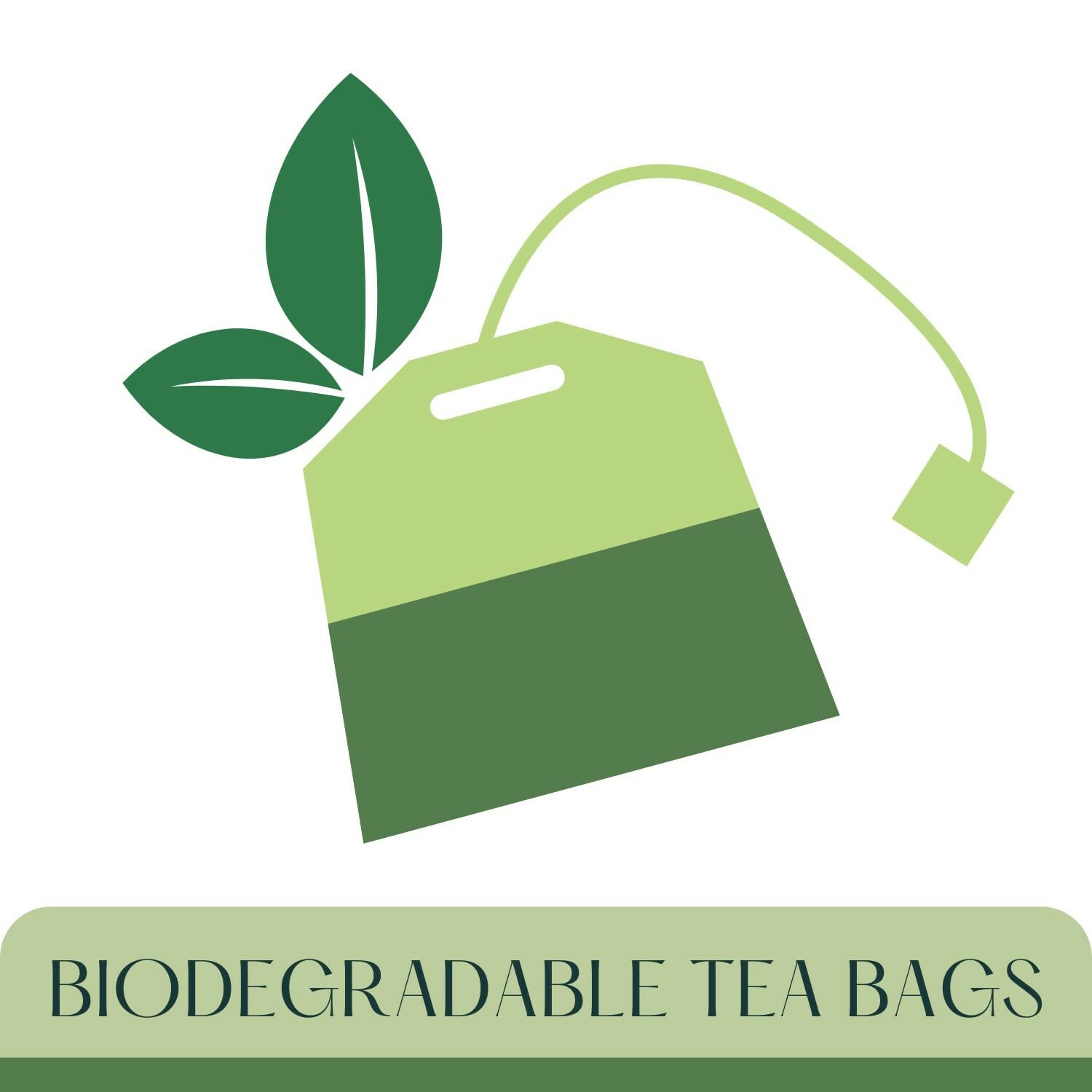 Satvi Wellness Beetroot Ginger Tea Bags | Herbal Tea Satvi Wellness