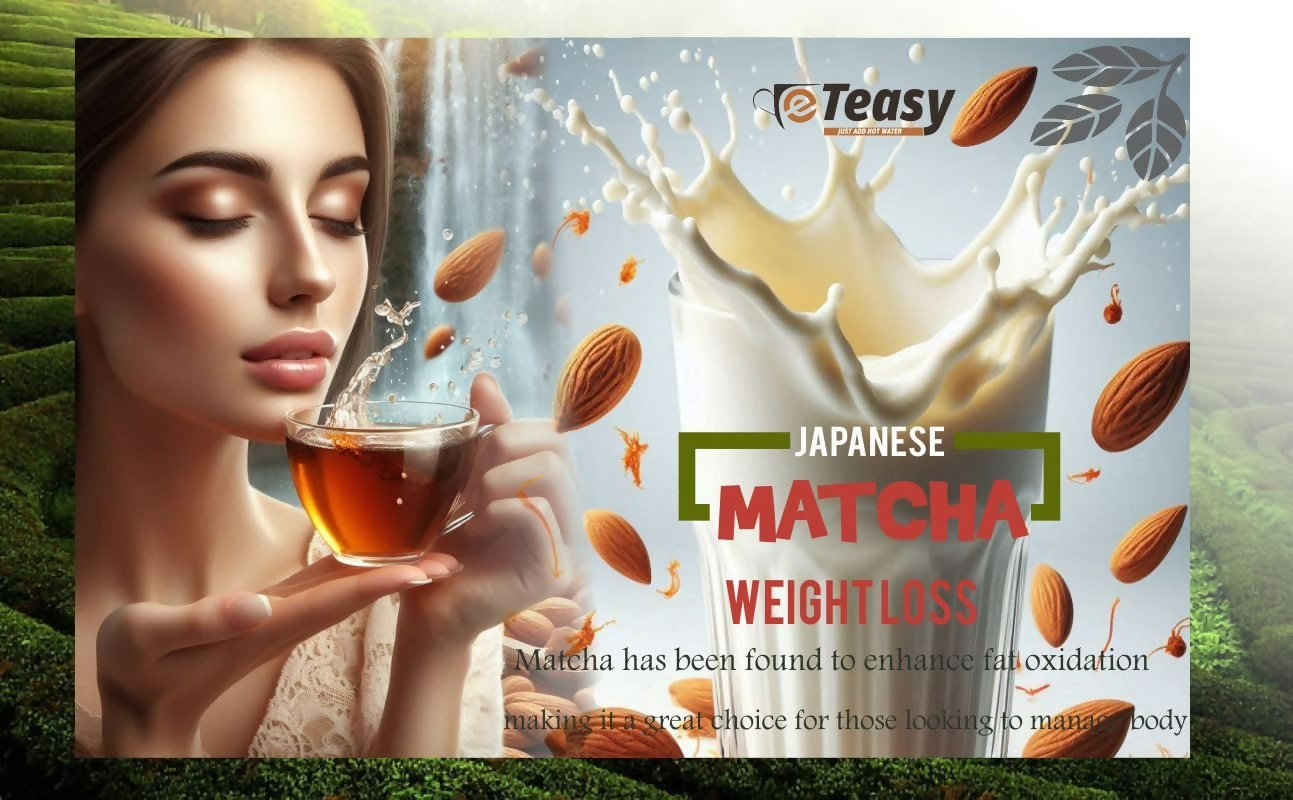 Eteasy Badam Slice Drink Mix Milk Shake Thick Powder Eteasy