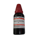 Dr. Willmar Schwabe India Echinacea Angustifolia Mother Tincture Q - Safuron Naturals