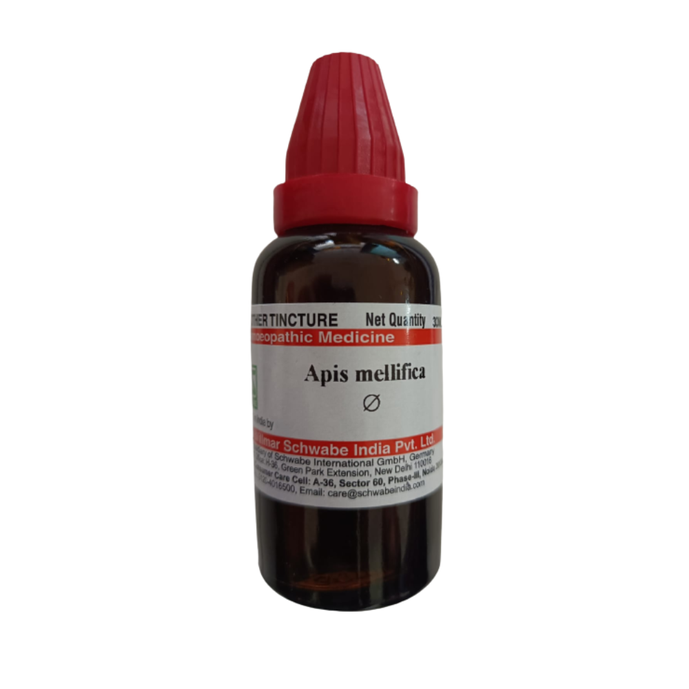 Dr. Willmar Schwabe India Apis Mellifica Mother Tincture Q - Safuron Naturals