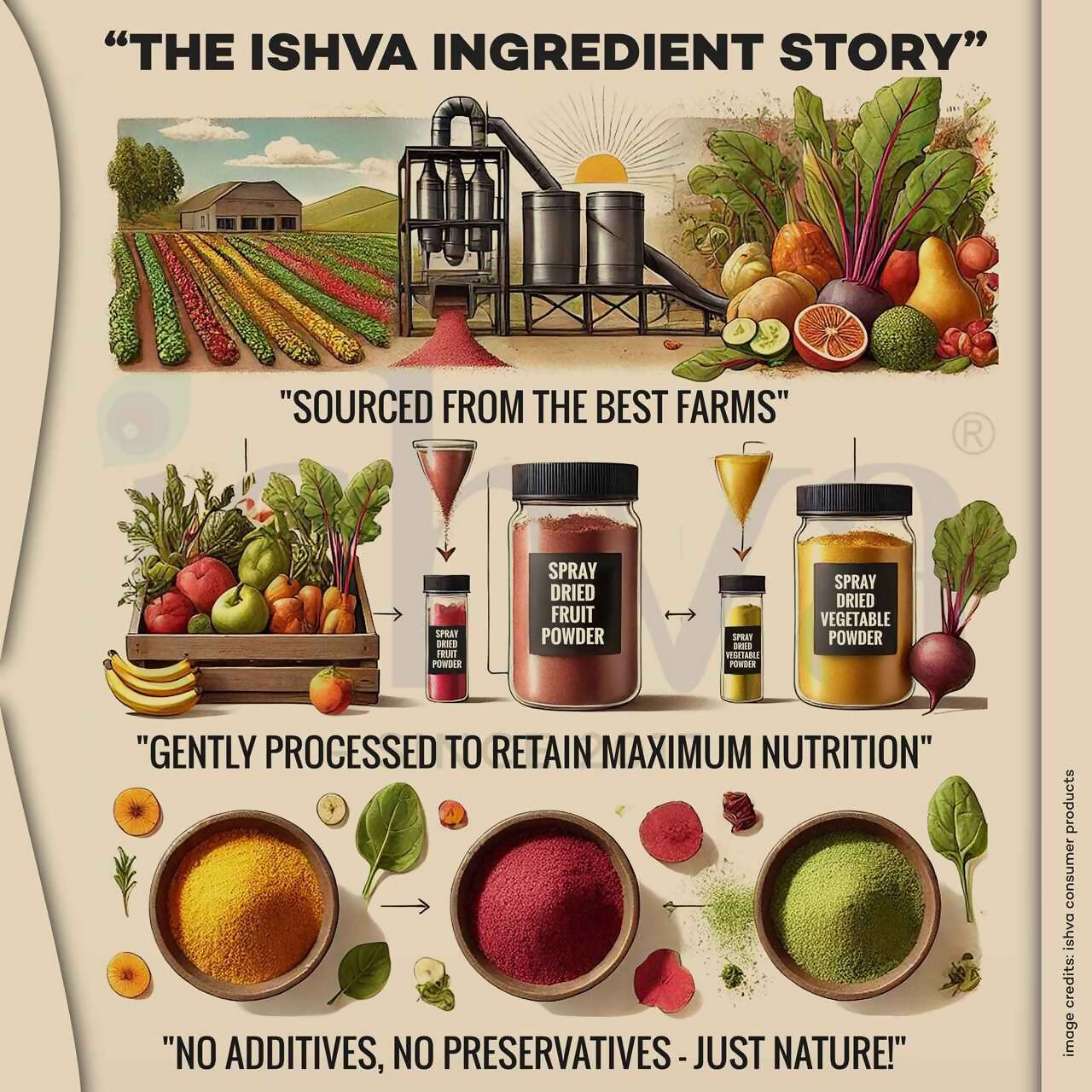 Ishva Blueberry Powder Ishva