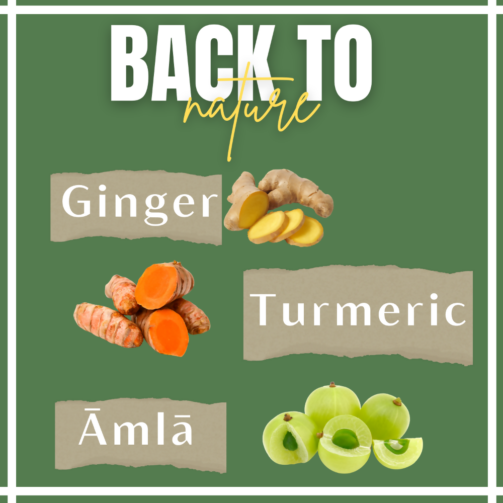 Satvi Wellness Turmeric Ginger Amla Tea| Turmeric Tea| Ginger Tea| Amla Tea | Herbal Tea Satvi Wellness