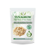 Yuvagrow Muskmelon Seeds - Safuron