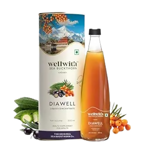 Wellwith DiaboWin (Diawell) Karela & Jamun Juice with Seabuckthorn - Safuron