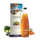 Wellwith DiaboWin (Diawell) Karela & Jamun Juice with Seabuckthorn - Safuron