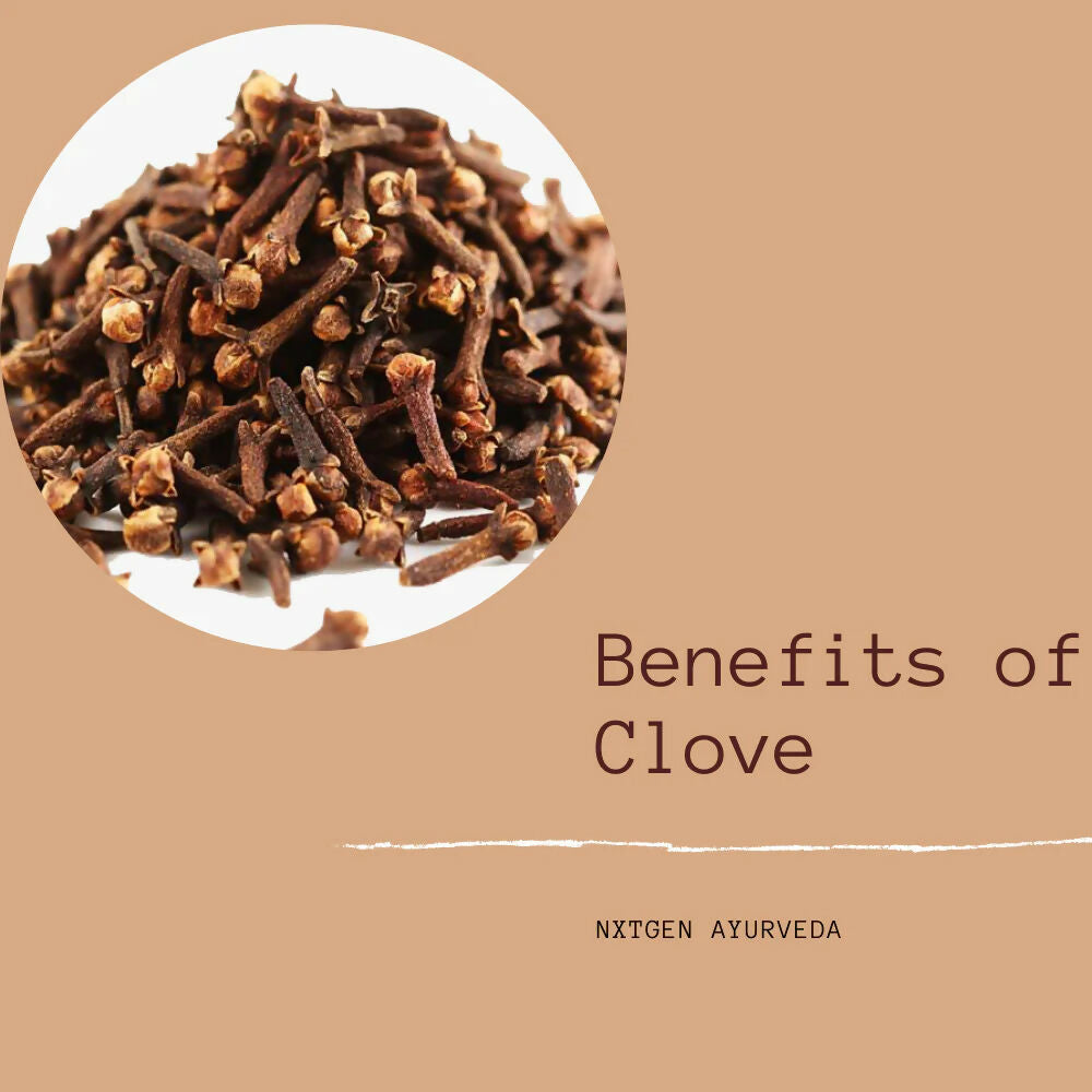 Oilcure Clove (Laung) Oilcure