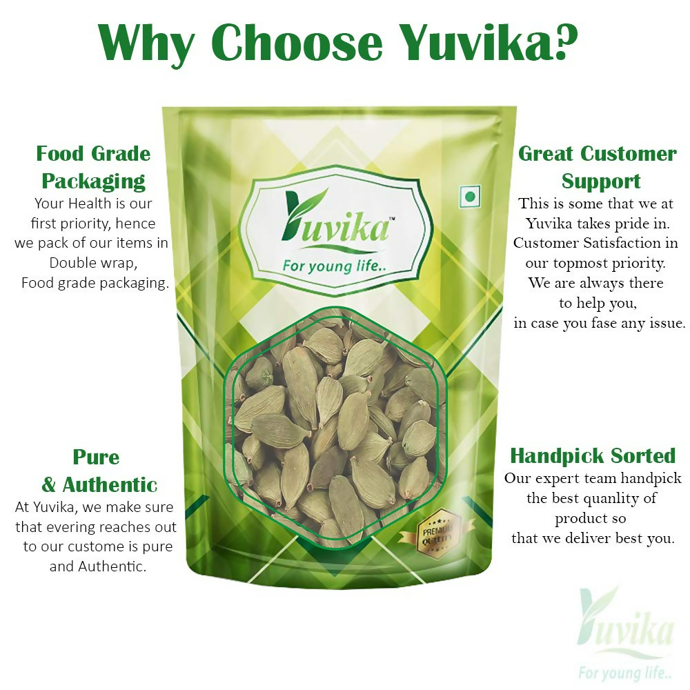 Yuvika Elaichi Choti - Elettaria Cardamomum - Green Cardamom Small Yuvika