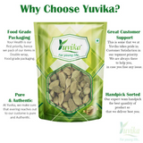Yuvika Elaichi Choti - Elettaria Cardamomum - Green Cardamom Small Yuvika