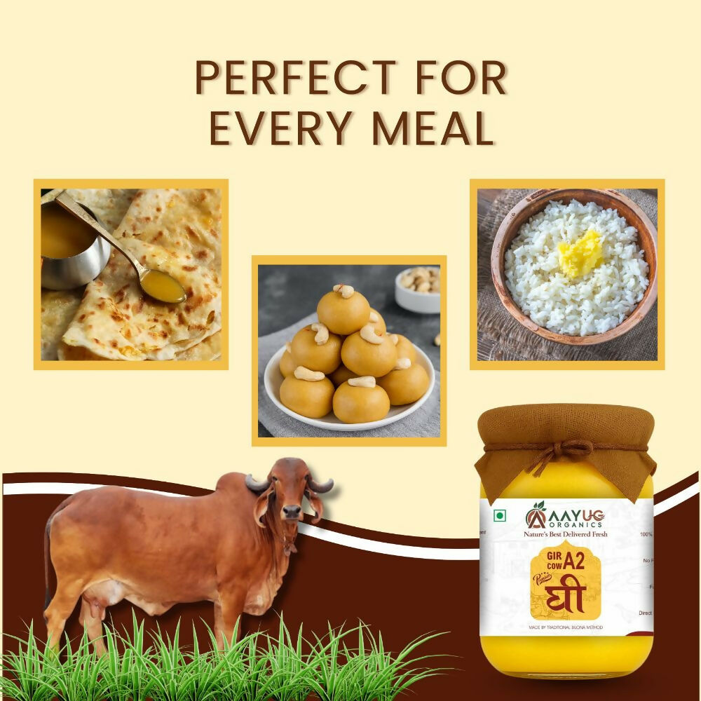 Aayug Organics A2 Gir Cow Ghee | Traditional Bilona Method A2 Cow Ghee | Grassfed, Pure and Healthy Gir Cow Ghee Aayug Organics