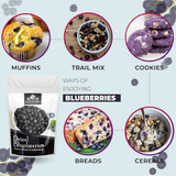 Nature Yard Blueberry Dried Without Sugar Nature Yard