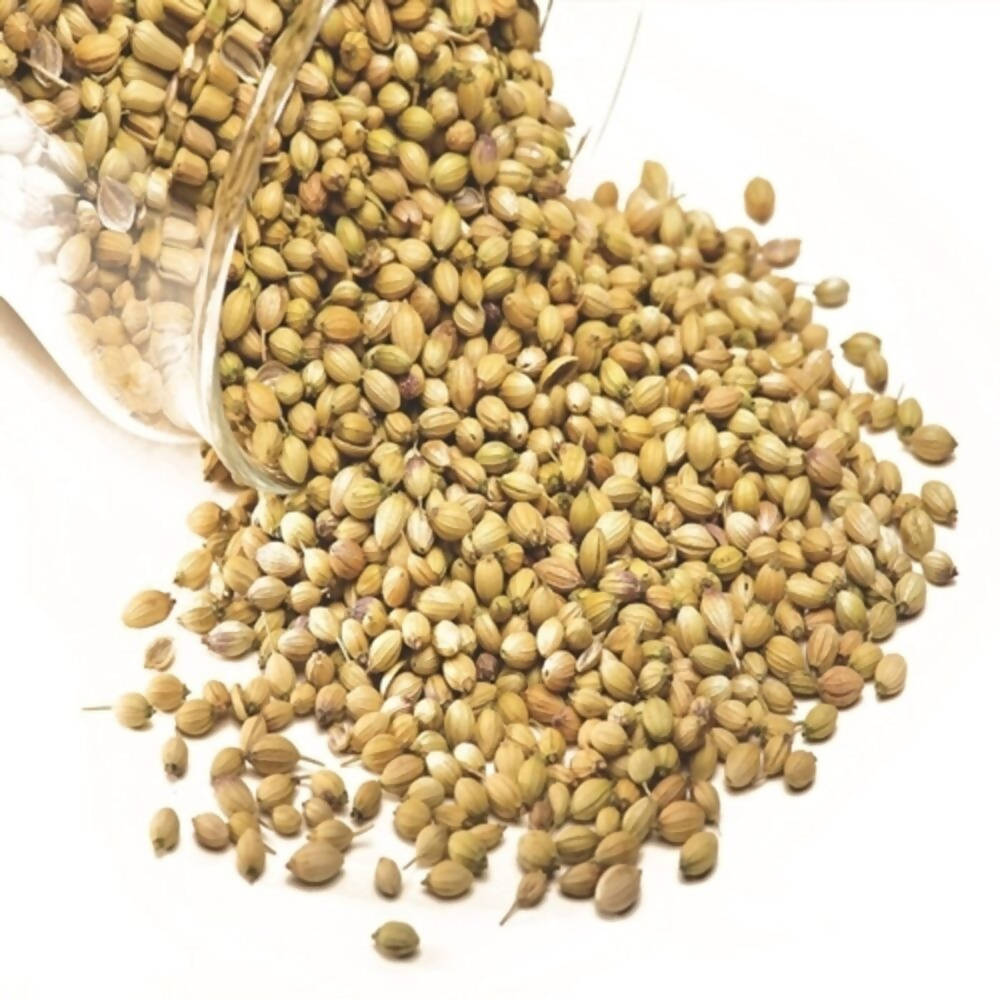 Freshon Coriander Whole Premium Freshon