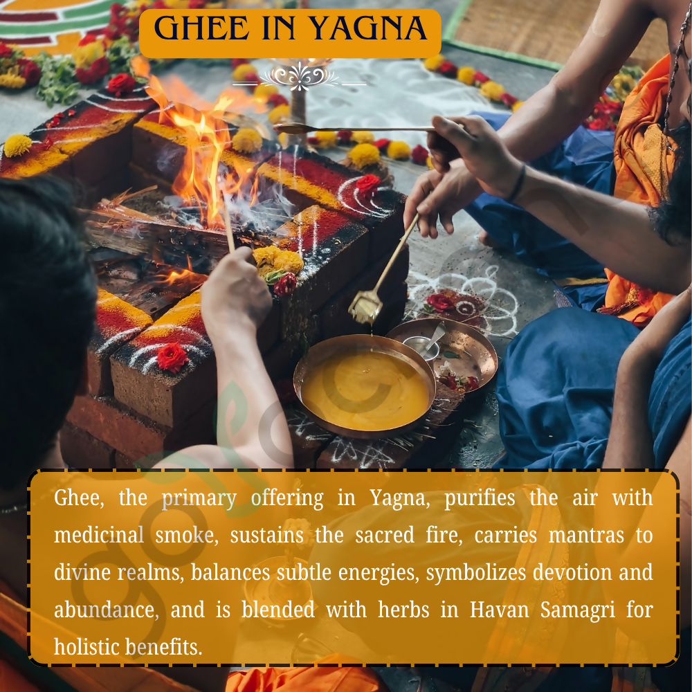 Tatsat Full Moon Day Ghee From Forest Gazing Amruth Mahal A2 Cows | Pure A2 Ghee, Natural & Healthy, Non-GMO Tatsat