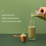 Cosmix No Nonsense Plant Protein Japanese Ceremonial Matcha Cosmix