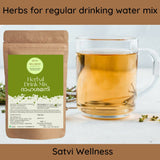 Satvi Wellness Dahasamani | Herbal Drink Mix Satvi Wellness