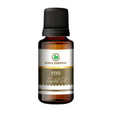 Korus Essential Pine Essential Oil - Therapeutic Grade - Safuron