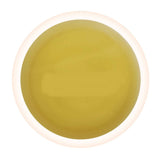 Golden Tips Jasmine Green Tea - Royal Brocade Cloth Bag Golden Tips