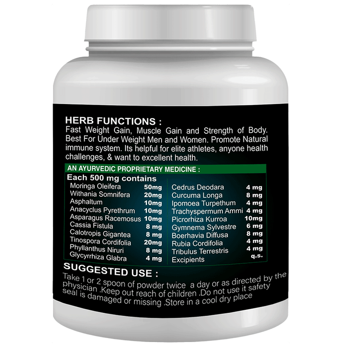 Sabates Techno Mass Powder Sabates