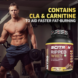Scitron Ripped Whey Protein Powder Flavor Chocolate Fudge Brownie Scitron