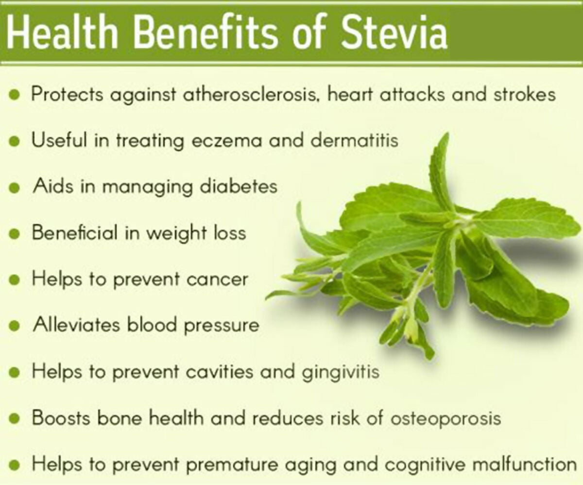 The Indian Chai - Organic Stevia Leaves Tea The Indian Chai