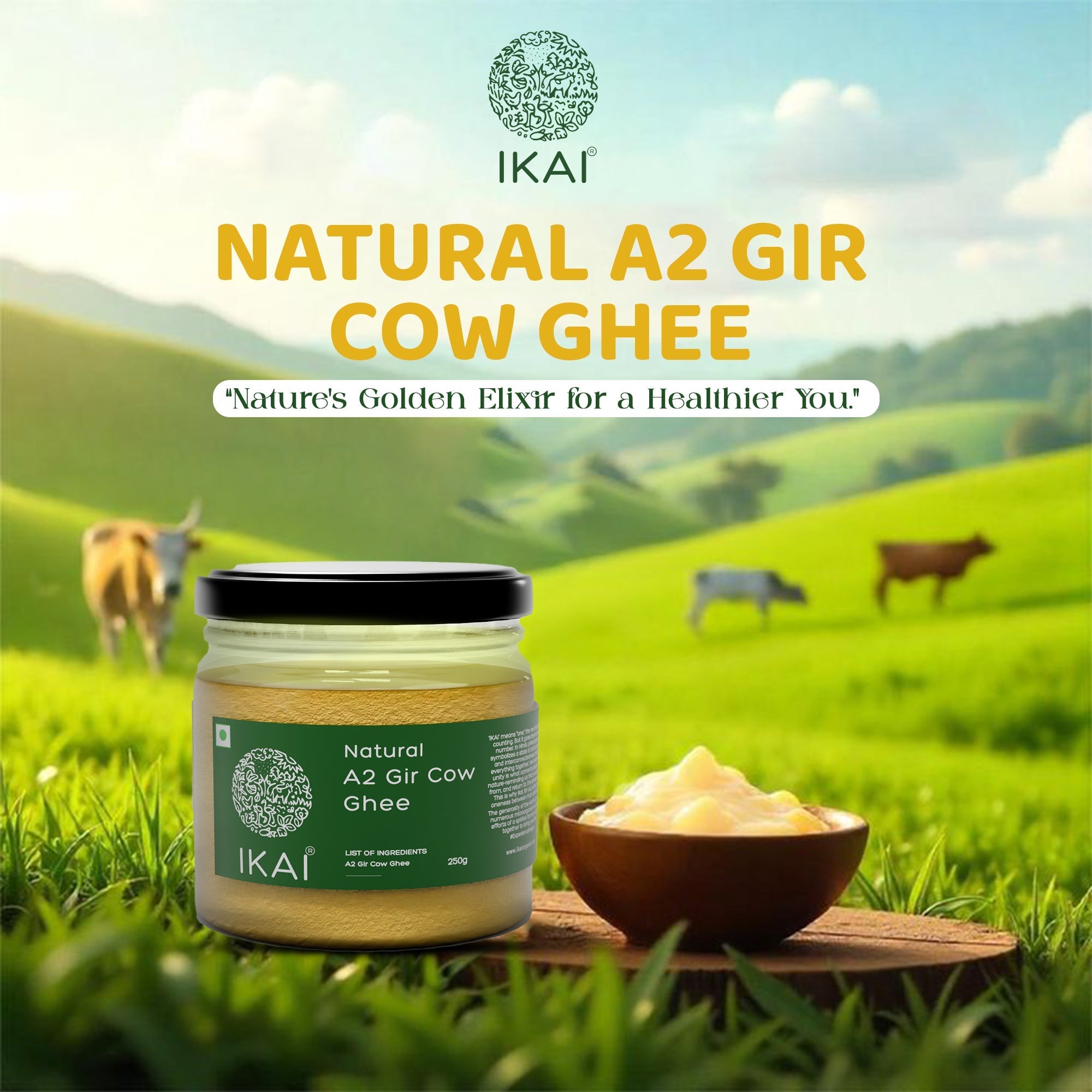 IKAI Natural A2 Gir Cow Ghee IKAI