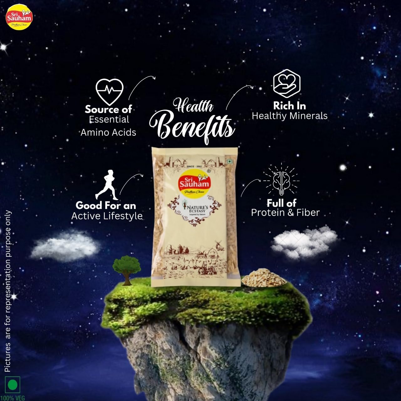 Sri Sauham Natural Roasted Pumpkin Seeds Sri Sauham
