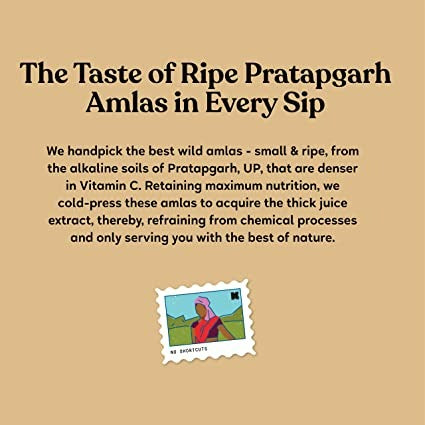 Kapiva Ayurveda Wild Amla Juice Kapiva Ayurveda