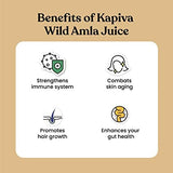 Kapiva Ayurveda Wild Amla Juice Kapiva Ayurveda