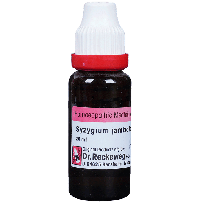 Dr. Reckeweg Syzygium J Mother Tincture Q - Safuron Naturals