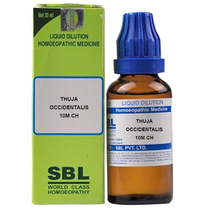 SBL Homeopathy Thuja Occidentalis Dilution - Safuron
