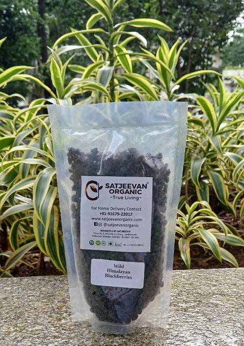 Satjeevan Wild Himalayan Blackberries Satjeevan