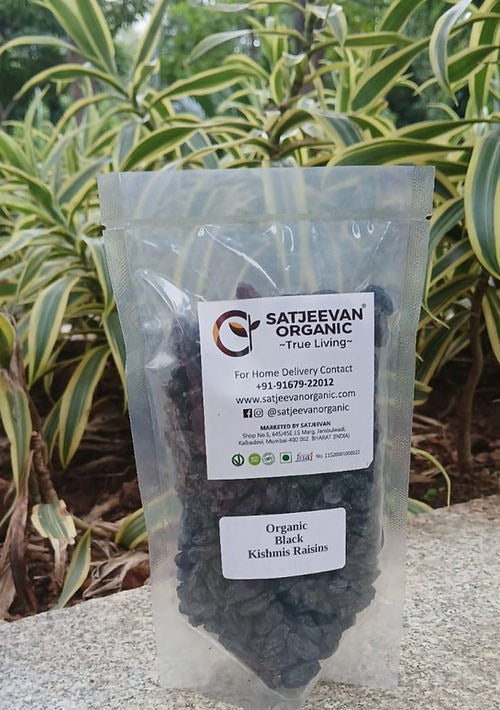 Satjeevan Organic Black Kishmis Raisins Satjeevan