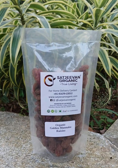 Satjeevan Organic Golden Munakka Raisins Satjeevan
