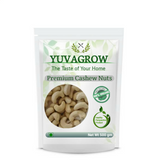 Yuvagrow W-180 Cashew Nuts - Safuron