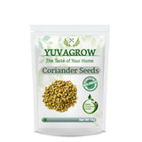 Yuvagrow Coriander Seeds - Safuron