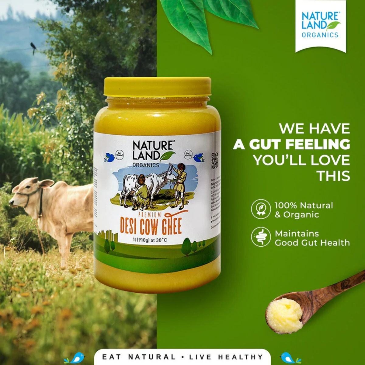 Nature Land Organics Premium Desi Cow Ghee | Organic Ghee From Desi Cow | Homemade Ghee Nature Land Organics