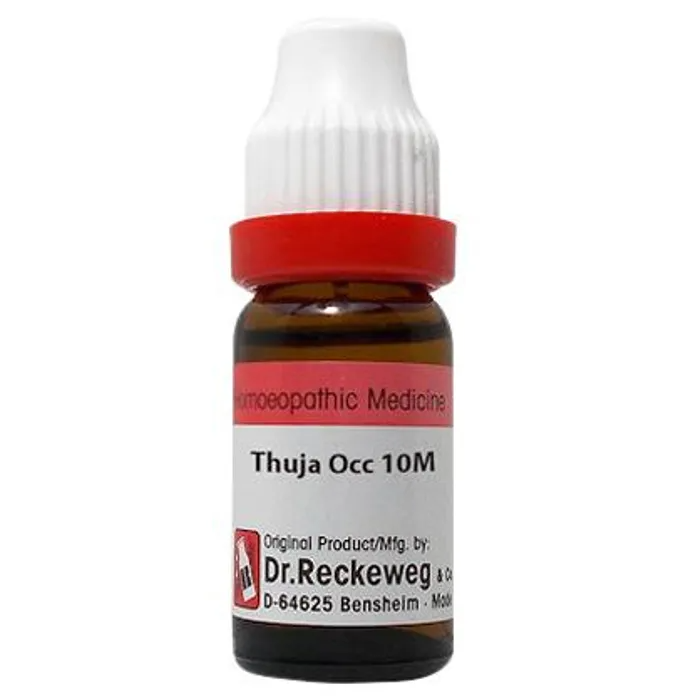 Dr. Reckeweg Thuja Occ Dilution - Safuron Naturals