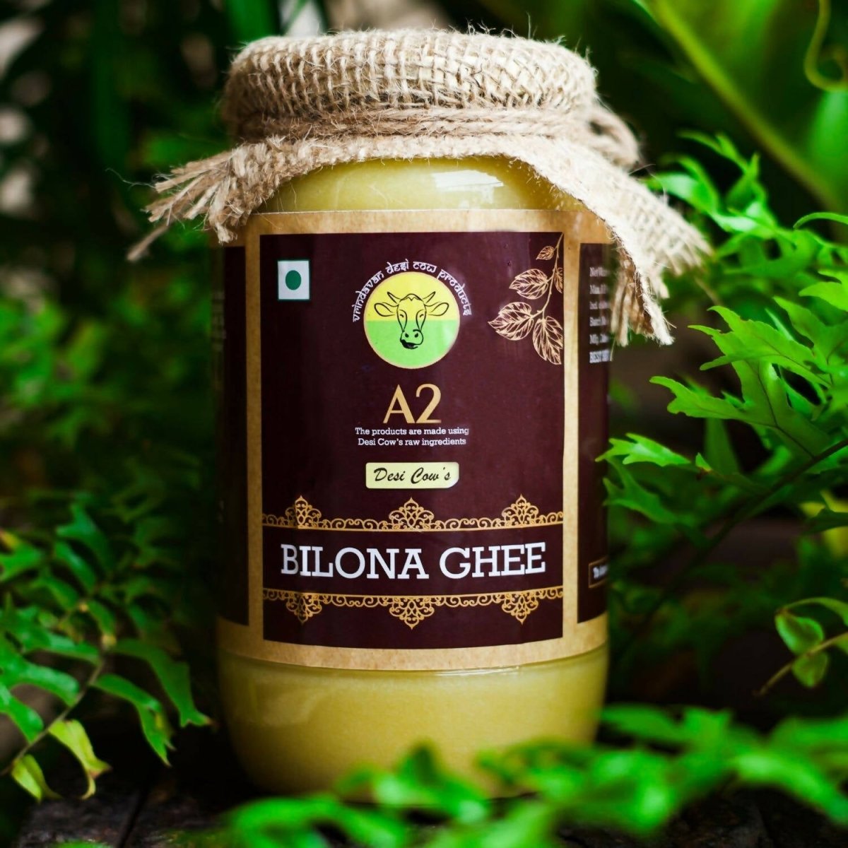 A2 Organics Desi Gir Cow A2 Bilona Ghee | Cultured Ghee | Vedic Bilona Method Ghee A2 Organics