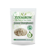 Yuvagrow Jowar (Sorghum) - Safuron