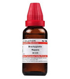 Dr. Willmar Schwabe India Brachyglottis Repens Dilution
