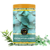 Teacurry Organic Eucalyptus Leaves - Safuron